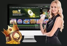 223bet 223bet