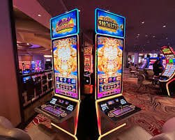 223bet 223bet